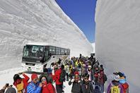 日本“雪墙公路”对公众开放
