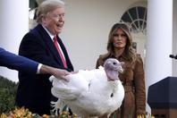 特朗普赦免了两只火鸡