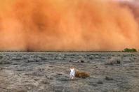 澳大利亚迎巨型沙尘暴 现场画面触目惊心