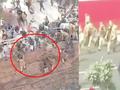 激烈!印度警察被愤怒农民满大街追打 走投无路如石头般滚落高台