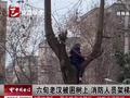 上树容易下树难!六旬老汉砍树被困树上