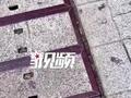 深圳一地面惊现车钥匙版“鹅卵石” 网友定睛一看满地车牌沸腾了