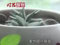 杭州杀妻碎尸案最新!亲属邻居再度爆料 案件疑点复盘