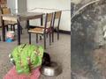 实诚男孩使大劲磕头要红包 下一秒把盆磕破捂头痛哭:我不要了