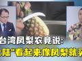 台凤梨果农竟称卖到大陆就是赚快钱:大陆“看起来像凤梨就买”