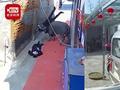水牛受惊顶伤三人 民警连开数枪击毙