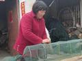 女子零彩礼嫁农村截瘫男 丈夫:想为她补办一场婚礼