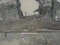 浙江余姚发现公元前2900年的独木舟 凹弧形细节清晰可见