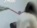 男领导骚扰女下属被拖把抽脸 律师谈被语言骚扰后肢体反击算不算违法