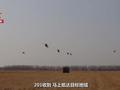 难得一见!直-20编队集结升空