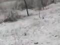 吉林白山立夏日飘起鹅毛大雪 网友:直接跨越夏天“立冬”