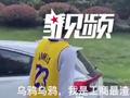 男孩为求证自己不是渣男向乌鸦发誓求证 下一秒乌鸦飞来应验了