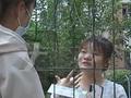 郑州一高校网红狗疑似遭人毒害:此前因偷吃外卖意外走红