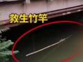 三门峡志愿者在危险水域放救援竹竿 已救数十人