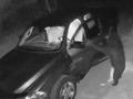 美国一只熊熟练开门闯入一辆汽车 被怀疑是惯犯