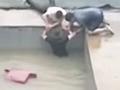 京广隧道最后逃生者:抓住一根管道救命,刚爬出3分钟水灌满