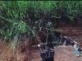桂林一明代皇室墓葬被盗:墓葬一角因暴雨冲刷裸露,嫌犯发现后进入