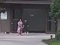 央视还原蚌埠女子遛狗纠纷事件 双方当事人讲述事发情形