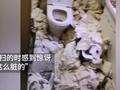 江苏一单身小伙租房把房子变“猪圈” 保洁:没见过这么脏的