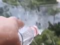 辽宁大连出现11级瞬时大风 市中心305株树木倒伏