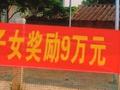 广东一村每生1个小孩资助9万元:每月3000元资助至两岁半