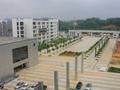 广西财经学院辟谣疑似学生在顶楼不雅行为:场景完全不同