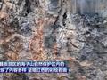 四川理塘首次发现古代彩绘岩画