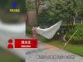 三女子狂摇小区桂花树收集桂花,业主:损坏公共利益