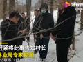 村民的牛疑被东北虎吃掉仅剩骸骨 网友:让东北虎去动物园打工赔钱
