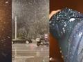 直击武汉2022年第一场雪 凌晨天空飘起鹅毛大雪花