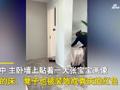 婆婆到儿媳家里“硬核催生” 主卧里一幕看呆网友 家里配色也变了