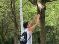太暖了!3名男生搭人梯救树上的猫咪