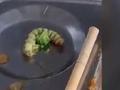 多足且肥!陕西一高校餐厅饭菜内现绿色毛虫 校方:先调查再处理