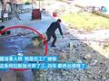 男子明目张胆偷狗被监控拍下 主人急追报警