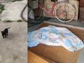 女大学生返乡隔离,安排到废弃20年小院就地搭铺,网友看条件炸锅