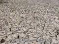 英国多地干旱 专家警告或影响来年农业生产
