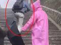 男子脚踢抢食猴子遭满山追打 游客:还有只猴子负责堵路不让人过
