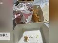 肯德基汉堡中疑吃出老鼠尾巴? 回应:确认后是动物血管