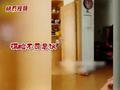 女儿看小时候的视频,满脸不可思议笑翻网友:黑历史都是高清的