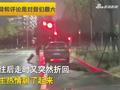 男子晚上接空姐媳妇下班,意外发现媳妇上错车,随后一幕出人意料