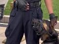 可可爱爱!国庆假期偶遇执勤警犬“歪头杀” 游客驻足围观