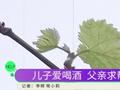 男子犯酒瘾医生建议看世界杯转移一下注意力,不要老想着喝酒!