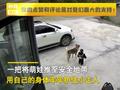 男子出行未留意孩子站视野盲区 狗子以身护幼主 网友:太有灵性