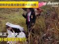 新娘冒雨翻山越岭赶去结婚,身后新郎一举动令网友直呼:姑娘,去渡劫吗?