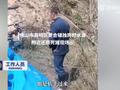 村庄饮用水源现10余头死猪 镇政府:正在调查 已派车给村民送水