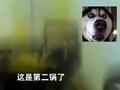 “到底是哪不对?” 男子油锅炸元宵现场惨烈