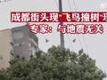 成都街头现“飞鸟撞树”现象被指地震前兆 专家:与地震无关