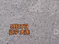 大连降雨一高校遍地是小青蛙 ,学生:大家都从旁边的小路绕行