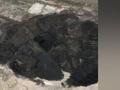 小区挖地基挖出煤层?自然资源局称属实,施工队称将继续施工