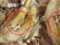 女子称外卖叫花鸡吃出虫卵差评后被商家怼:我们自己天天吃